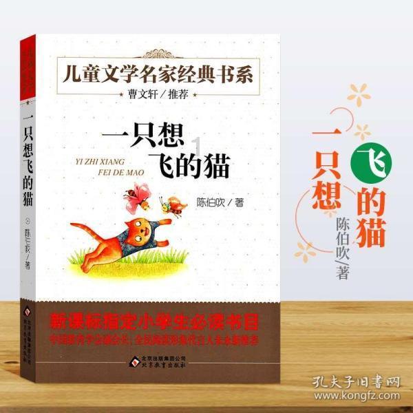 可疑的情况